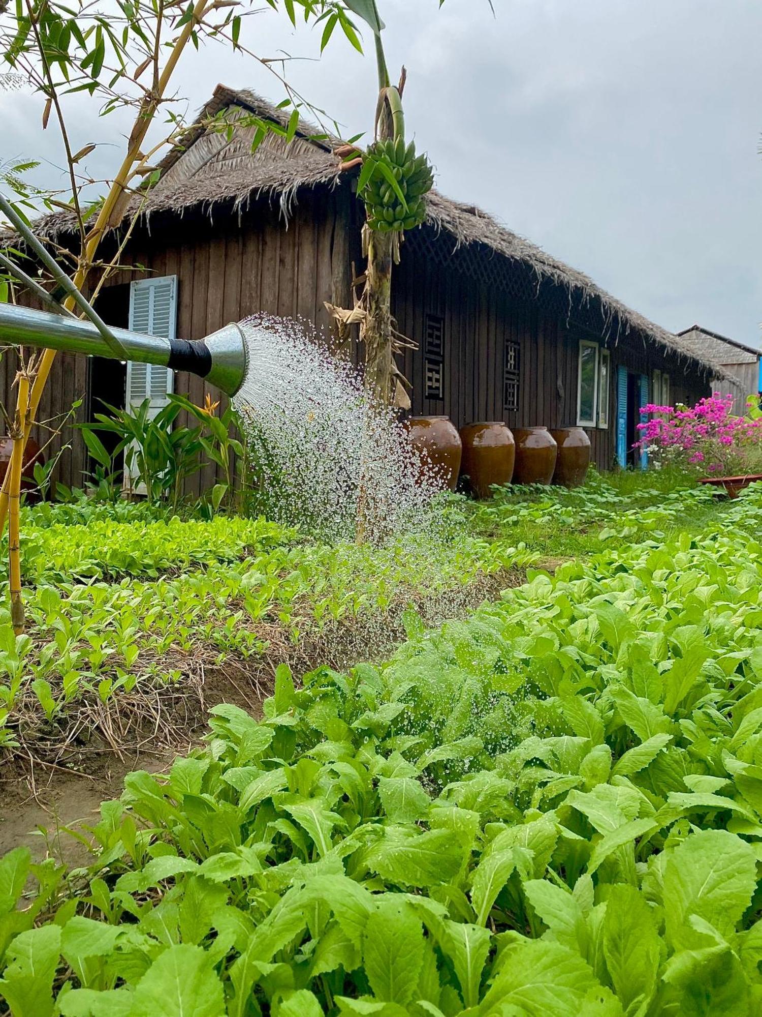 Mekong Silt Ecolodge Cần Thơ Zewnętrze zdjęcie