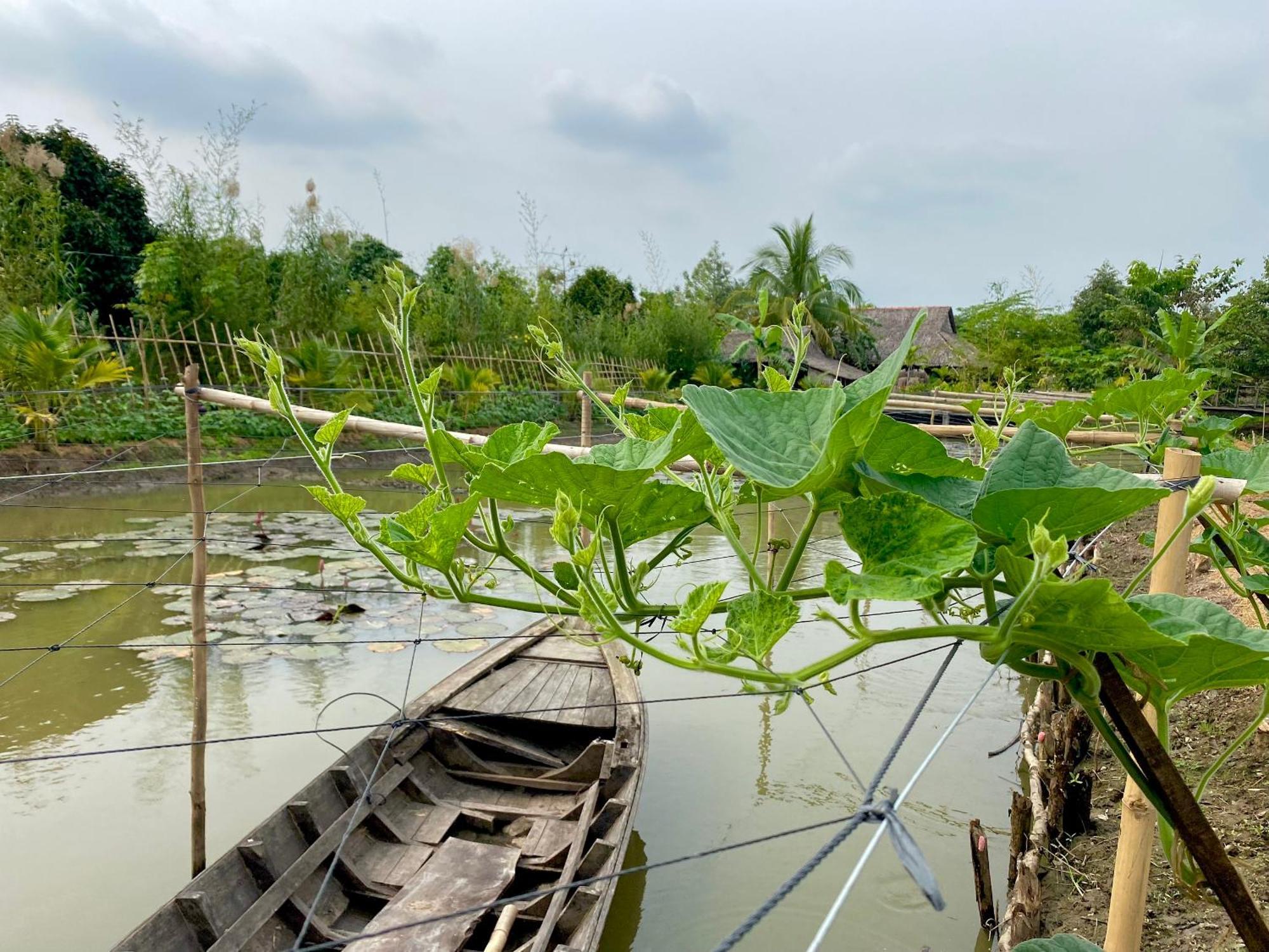 Mekong Silt Ecolodge Cần Thơ Zewnętrze zdjęcie
