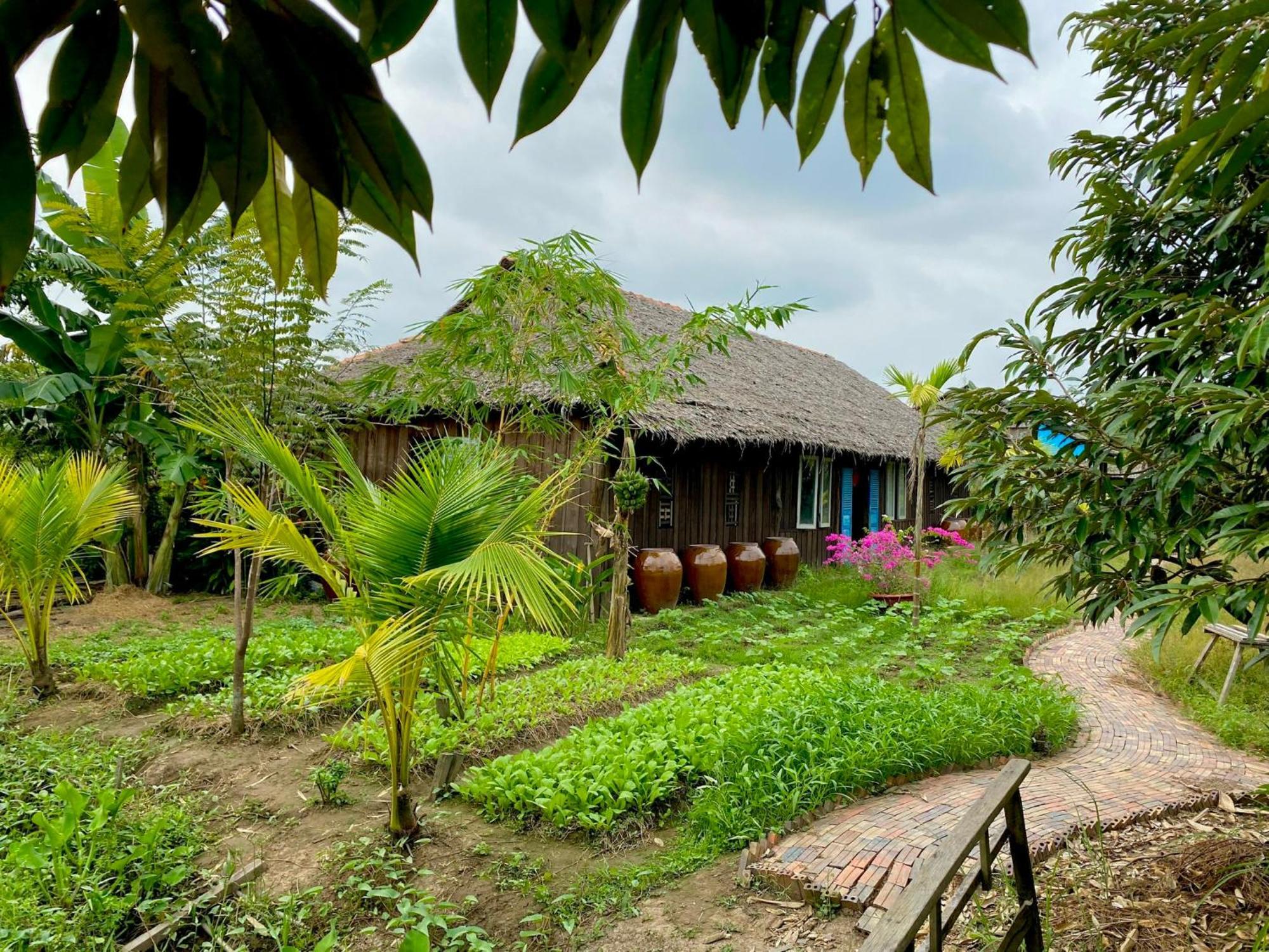 Mekong Silt Ecolodge Cần Thơ Zewnętrze zdjęcie